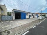 Superfici commerciali, TERRICCIOLA, 180.000 €, 450,00 mq