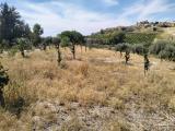 Particella, BOVA MARINA, 65.000 €, 17000,00 mq