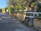 Appartamento, MONTALTO DI CASTRO, 60.000 €, 57,00 mq