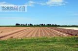 Particella, VICENZA, 160.000 €, 1119,00 mq