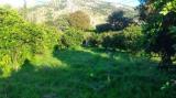 Affitto, Particella, PALERMO, 1.100 €, 2800,00 mq