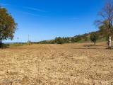 Casa, ALVIANO, 125.000 €, 80,00 mq