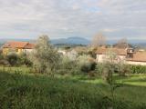 Particella, POGGIO MIRTETO, 75.000 €, 950,00 mq