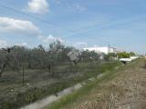 Casa, SCANZANO JONICO, 179.000 €, 150,00 mq