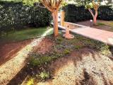 Appartamento, ROSIGNANO MARITTIMO, 220.000 €, 99,00 mq