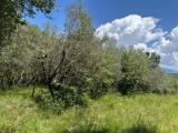 Particella, NARNI, 54.000 €, 80,00 mq