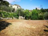Particella, ARCOLA, 90.000 €, 555,00 mq