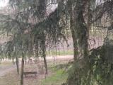 Affitto, Appartamento, BOLOGNA, 1.300 €, 91,00 mq