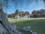 Casa, ROMA, 940.000 €, 240,00 mq