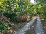 Particella, MANTOVA, 55.000 €, 2538,00 mq