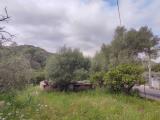 Particella, LOIRI PORTO SAN PAOLO, 60.000 €, 650,00 mq