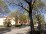 Appartamento, CASTEL SAN PIETRO TERME, 232.000 €, 127,00 mq