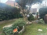 Appartamento, BASTIGLIA, 208.000 €, 115,00 mq