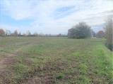 Particella, CASTELBELFORTE, 75.000 €, 270,00 mq
