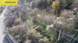 Particella, FUMANE, 85.000 €, 3600,00 mq