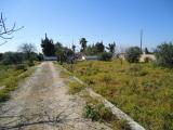 Particella, TAVIANO, 15.000 €, 5000,00 mq