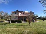 Casa, CASTIGLIONE DEL LAGO, 620.000 €, 403,00 mq