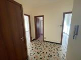 Affitto, Appartamento, ALESSANDRIA, 325 €, 60,00 mq