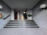 Appartamento, SEGRATE, 169.000 €, 75,00 mq
