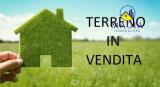 Particella, MONSAMPOLO DEL TRONTO, 19.000 €, 11978,00 mq