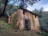 Particella, CAMAIORE, 35.000 €, 4000,00 mq