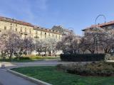 Affitto, Appartamento, MILANO, Pagano, 11.670 €, 242,00 mq