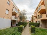 Appartamento, LEGNARO, 115.000 €, 59,00 mq