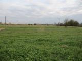Particella, CAMPI BISENZIO, 35.000 €, 5000,00 mq