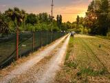 Particella, EMPOLI, 45.000 €, 5000,00 mq