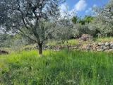 Particella, CAPRINO VERONESE, 45.000 €, 2209,00 mq