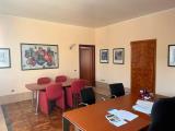 Affitto, Superfici commerciali, VIGODARZERE, 2.500 €, 300,00 mq