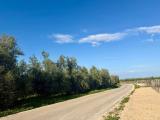 Particella, BARLETTA, 35.000 €, 4696,00 mq