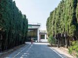 Superfici commerciali, FIRENZE, <i>A richiesta</i>, 4445,00 mq