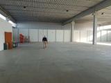 Affitto, Superfici commerciali, PISA, 6.000 €, 600,00 mq