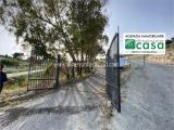 Particella, CALTANISSETTA, 25.000 €, 8188,00 mq