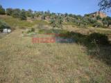 Particella, CROSIA, 49.000 €, 1525,00 mq
