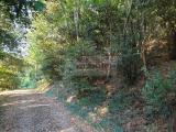 Particella, SARZANA, 12.000 €, 4350,00 mq