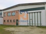 Superfici commerciali, BORGARELLO, 250.000 €, 442,00 mq