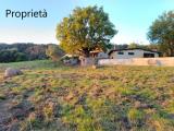 Casa, ROCCASTRADA, 225.000 €, 237,00 mq