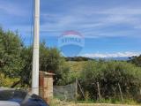 Particella, CONTRADA, 83.000 €, 7776,00 mq