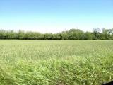 Particella, CESANO MADERNO, 700.000 €, 2000,00 mq