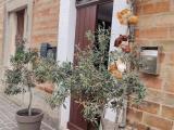 Appartamento, OSIMO, 85.000 €, 87,00 mq