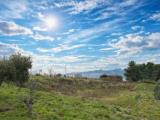 Casa, ANCONA, 159.000 €, 174,00 mq
