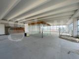 Affitto, Superfici commerciali, RUBANO, 1.200 €, 320,00 mq