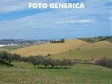 Particella, SAN MINIATO, 33.000 €, 9435,00 mq