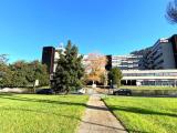 Superfici commerciali, ROMA, Magliana, 320.000 €, 250,00 mq