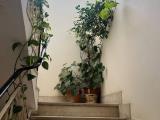 Appartamento, ROMA, 180.000 €, 58,00 mq