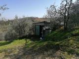 Particella, MONTEVARCHI, 20.000 €, 2500,00 mq