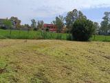 Particella, FIUMICINO, 99.000 €, 859,00 mq