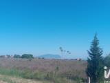 Particella, PORTO RECANATI, 70.000 €, 17037,00 mq